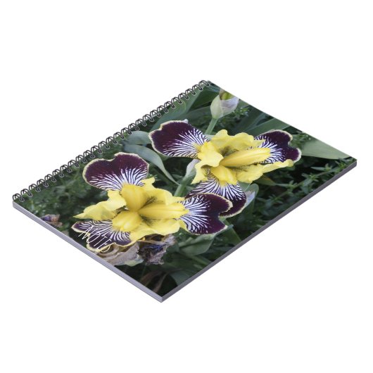 Paarse en Gele Bearless Irissen Bloemen Notitieboek (Linkerzijde)