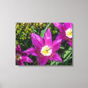 Paarse en gele bloemen uitzichten canvas print