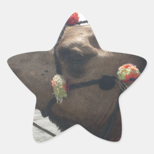 Paarse en gele caleidoscoop ster sticker