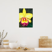 Paarse en gele Cattleya Orchid Poster (Keuken)