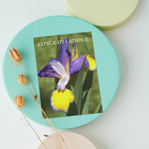 Paarse en Gele Iris Bloemen Felicitaties Kaart