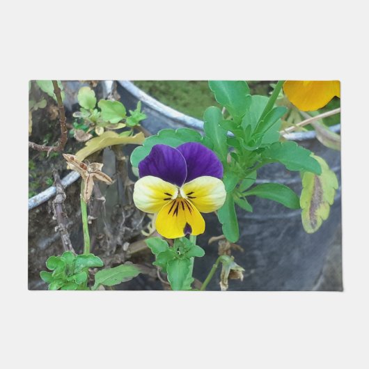 Paarse en gele Pansy Deurmat (Voorkant)