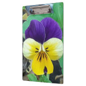 Paarse en gele Pansy Klembord (Links)