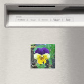 Paarse en gele Pansy Magnet Magneet (Insitu (Vaatwasser))