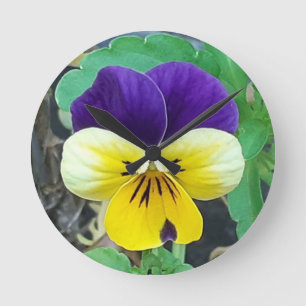 Paarse en gele Pansy Ronde Klok