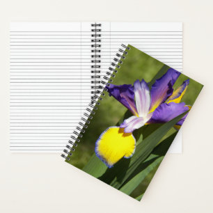 Paarse en gele Siberische Iris bloem Notitieboek