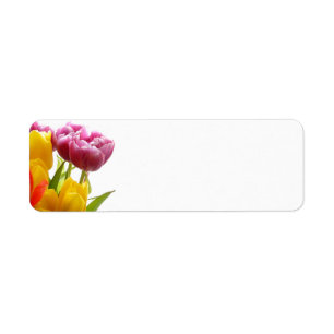 Paarse en gele Tulps Avery Return-adreslabels Etiket