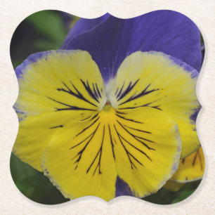 Paarse en gele zonnebloem kartonnen onderzetters