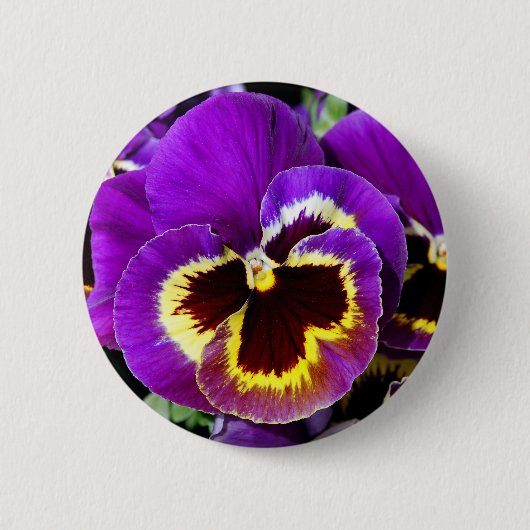 Paarse en gele zonnebloem ronde button 5,7 cm (Voorkant)