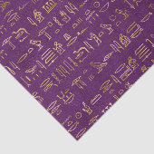 Paarse en gouden Egyptische hiërogliefenkrant Tissuepapier (Detail)