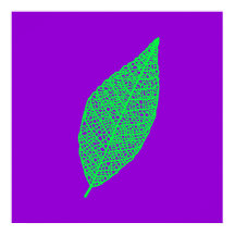 Paarse en groene skeletblaadje lijnkunst