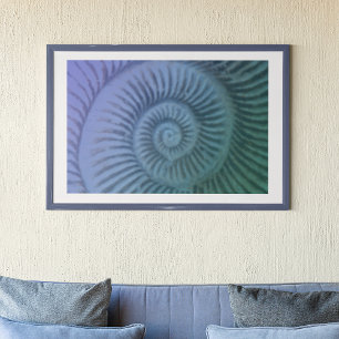 Paarse en groene spiraalvormige Ammonite Fossil Ar Poster