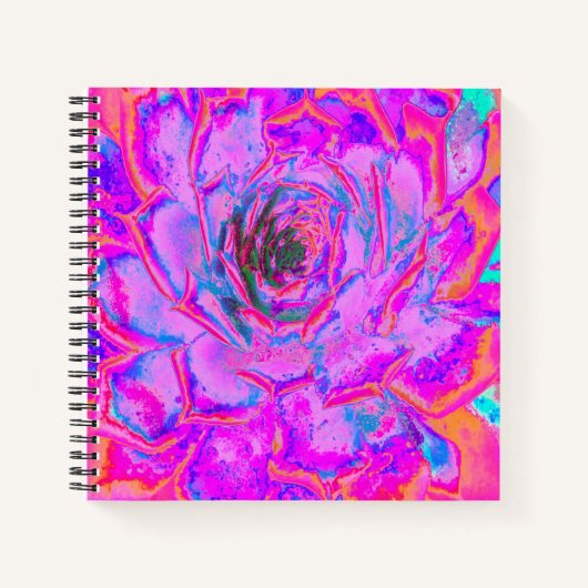 Paarse en Magenta Succulent Sedum Rozet Notitieboek (Voorkant)