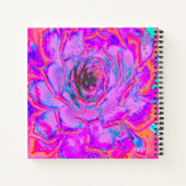 Paarse en Magenta Succulent Sedum Rozet Notitieboek (Achterkant)