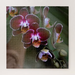 Paarse en Maroon Orchid Blossom Legpuzzel
