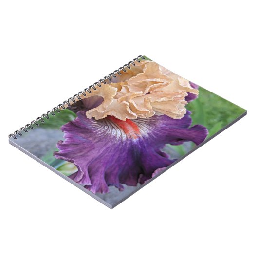 Paarse en perzik baardbaars Iris Bloom Bloemen Notitieboek (Linkerzijde)