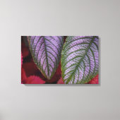 Paarse en rode verlaten canvas (Voorkant)