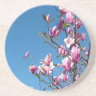 paarse en roze bloemen, magnolia, blauwe lucht zandsteen onderzetter