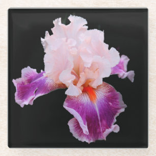 Paarse en roze Iris Glazen Onderzetter