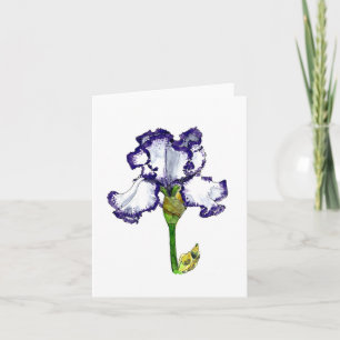 Paarse en witte baardiris kaart