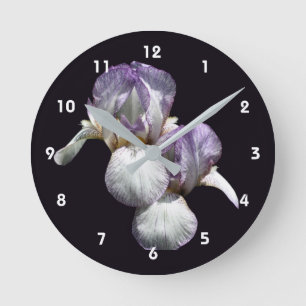 Paarse en witte baardirisbloemen ronde klok
