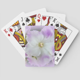 Paarse en witte Fancy Afrikaanse Violetten Pokerkaarten