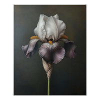 Paarse en witte iris botanische schilderij