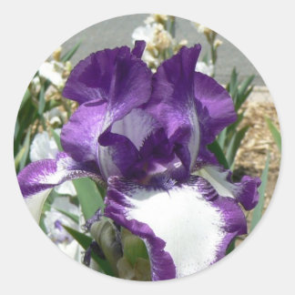 Paarse en witte Iris Ronde Sticker