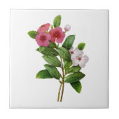 Paarse en witte maagdenpalm van Redoute Tegeltje (Voorkant)