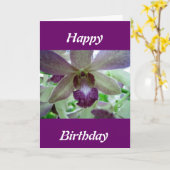 Paarse en witte orchidee kaart (Gele Bloem)