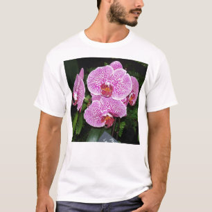 Paarse en witte orchidee t-shirt