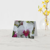 Paarse en witte orchideeën blanco kaart (Gele Bloem)