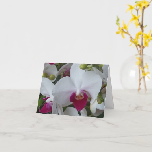 Paarse en witte orchideeën blanco kaart (Gele Bloem)