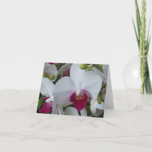 Paarse en witte orchideeën blanco kaart