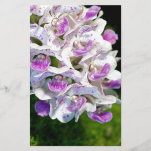 Paarse en witte orchideeën briefpapier