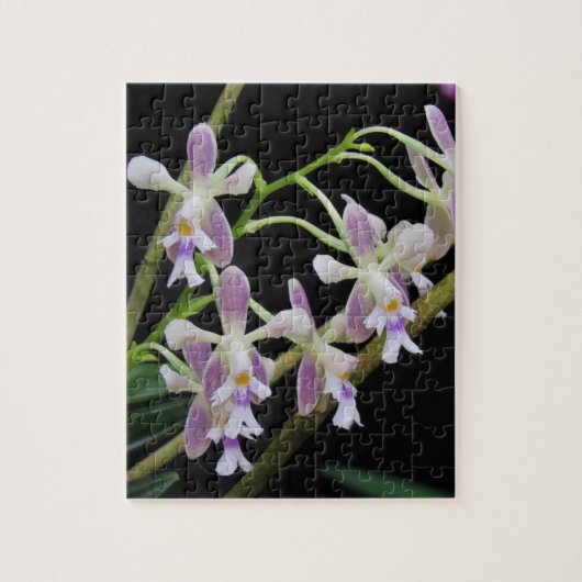Paarse en witte orchideeën legpuzzel (Verticaal)