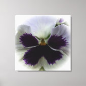 Paarse en witte paniek canvas afdruk (Voorkant)