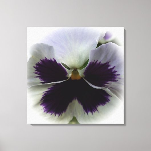 Paarse en witte paniek canvas afdruk (Voorkant)