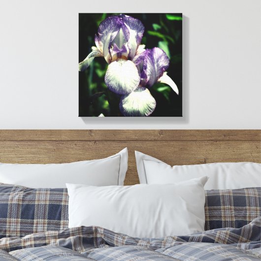 Paarse en witte reuzenpompoen canvas afdruk (Insitu (Slaapkamer))