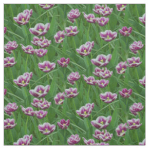 Paarse en witte Tulpen Stof