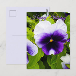 Paarse en witte viooltjes, verjaardagskaart briefkaart