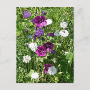 Paarse en witte Wildflowers DIY Briefkaart