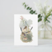 Paarse Fairywren Briefkaart (Staand voorkant)