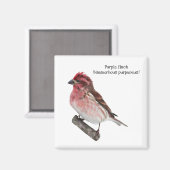 Paarse Finch Magneet (Voorkant / Achterkant)