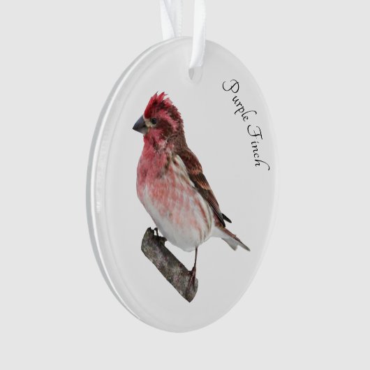 Paarse Finch Ornament (voorkant)