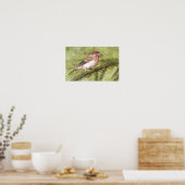 Paarse Finch Poster (Keuken)