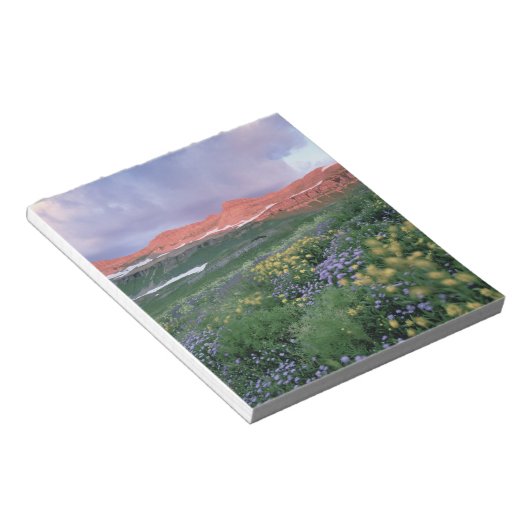 Paarse Fleabaan (erigeron peregrinus) en geel Notitieblok (Schuin)