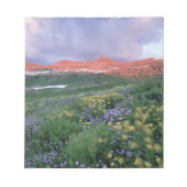 Paarse Fleabaan (erigeron peregrinus) en geel Notitieblok (Voorkant)