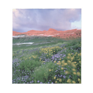 Paarse Fleabaan (erigeron peregrinus) en geel Notitieblok