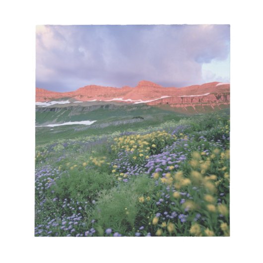 Paarse Fleabaan (erigeron peregrinus) en geel Notitieblok (Voorkant)